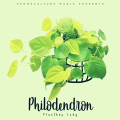 Philodendron