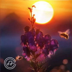 Save the bees