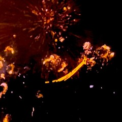 Just a Memory Reminder - Would You? Niemals