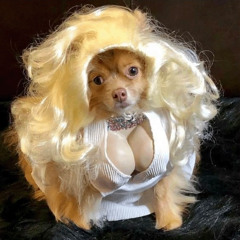 Spectacular [ You Are ]