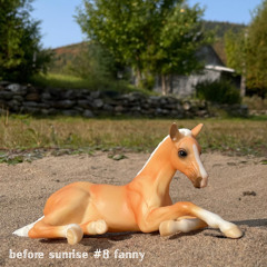 before sunrise #8 fanny