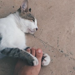 Sombre slumber
