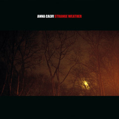 Strange Weather (feat. David Byrne)