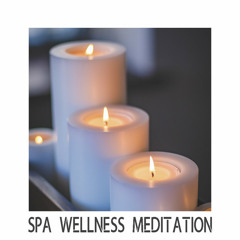 Spa Wellness & Meditation Music || Yoga / Relaxing / Calm