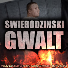 mlody wielblad x mlody gesior x mloda katowiczanka - SWIEBODZINSKI GWALT (youngmioder diss)