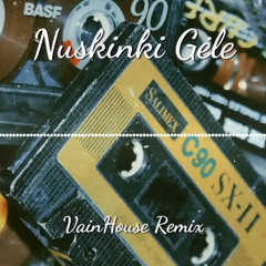 Nuskinki Gėle ( VainHouse Remix )