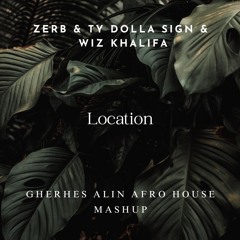 Zerb, Ty Dolla $ign, Wiz Khalifa - Location (Gherhes Alin Afro House Mashup)