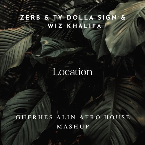 Zerb, Ty Dolla $ign, Wiz Khalifa - Location (Gherhes Alin Afro House Mashup)