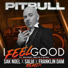 Pitbull - I Feel Good (Sak Noel X Salvi X Franklin Dam Remix) [feat. Anthony Watts & DJWS]