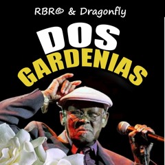 RBR© & Dragonfly - Dos Gardenias