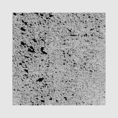 I Wanna I Wanna I Wanna