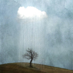 hope springs eternal (qweshkka)