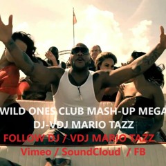 2024 WILD ONES CLUB MASH - UP MEGA MIX 10 HITS DJ - VDJ MARIO TAZZ