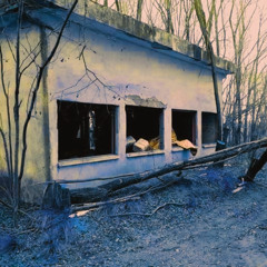 TRANSDUCCIÓN ORGÁNICA [LAB]