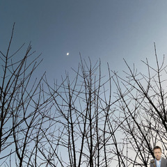 BATH HOUSE  - Puma Blue (Binaural cover)