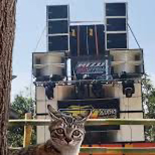 Panzer Stepper - Dub me again Mix