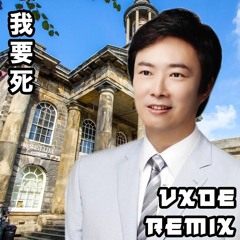 Yi Jian Mei (VXDE remix)