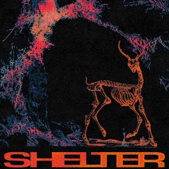 SNAX Live @ SHELTER Jan 27th 2024