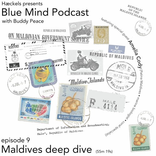 Blue Mind Podcast • Episode 9 • 'Maldives Deep Dive'