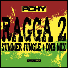 Summer Ragga Jungle DnB Mix 2