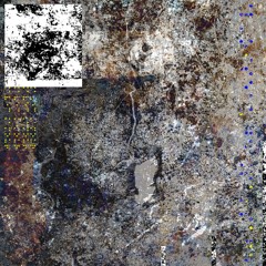 Chien+LesOiseauxEcoutentDuJazz