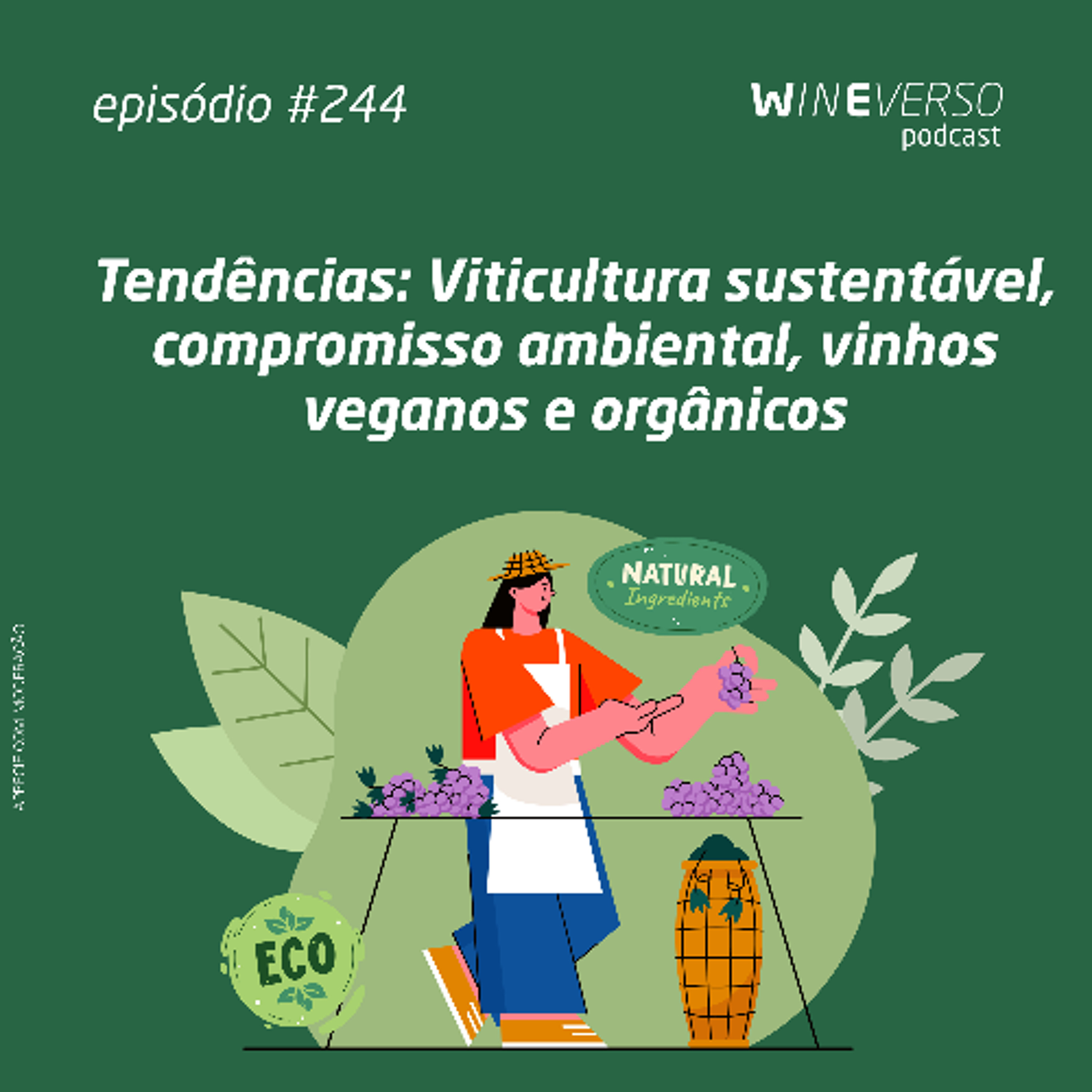 Tendências: Viticultura sustentável, compromisso ambiental, vinhos veganos e orgânicos