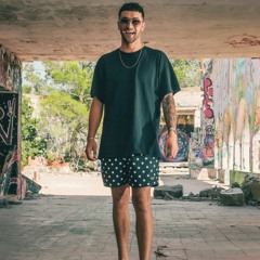 SHAN TRIBBLE || THE LOCK DOWN MIX