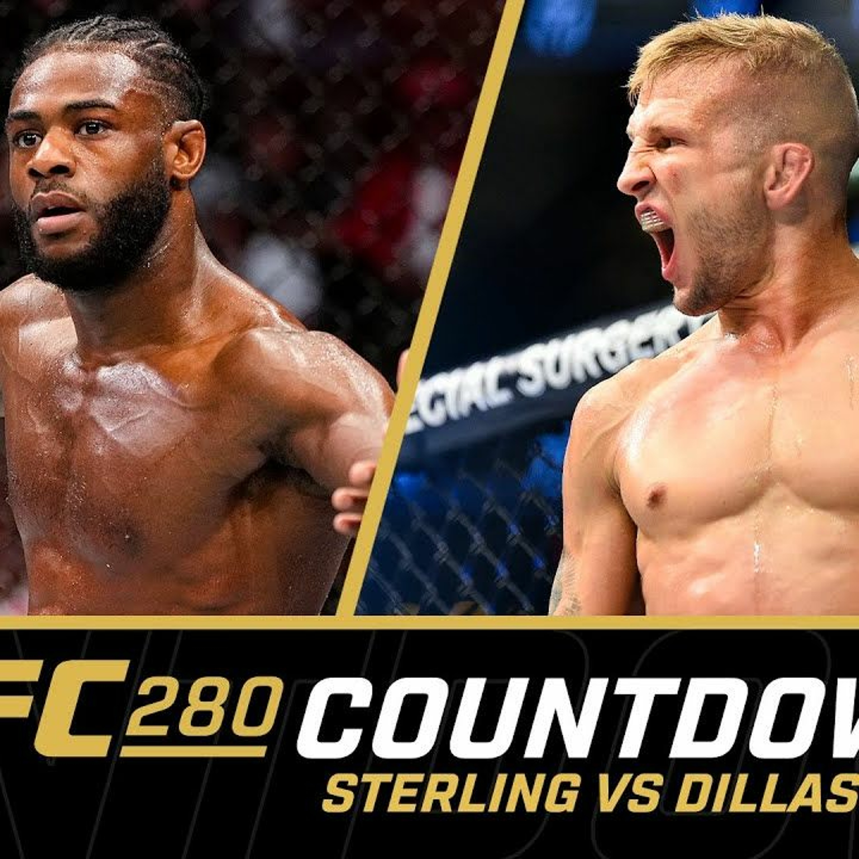 Sterling vs. Dillashaw | #UFC280 Countdown #UFC episode artwork