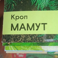 СОЛОМА - XIX