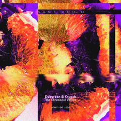 2_Duburban & Krugah - High Mountain