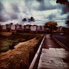 halawa
