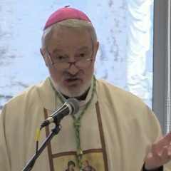 Making Mass attendance a criminal act 'very offensive' says Bishop