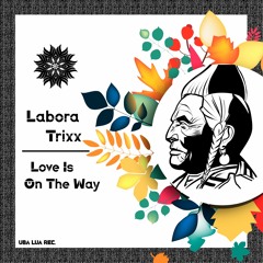 Labora Trixx - Love Is On The Way (Original Mix) - [ULR175]