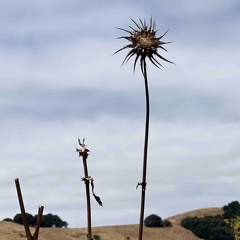 Our Last Thursday On The Great Matter