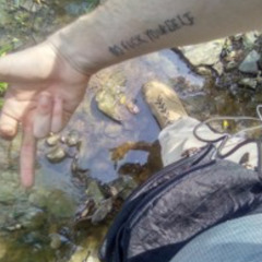 Walking Down Train Tracks