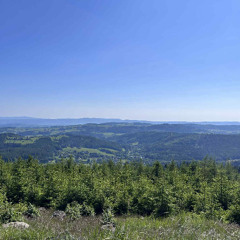 A series of woodcock territory loops