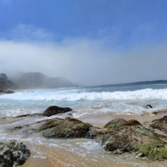 Leave It In The Water - Scott Dente ( feat. Drew Cline )