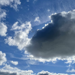 EarlyMornin’ (rising)