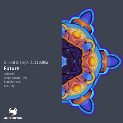 Premiere: DJ Bird, Papai ACCI Attila - Future (Diego Acosta UY Remix) [AH Digital]