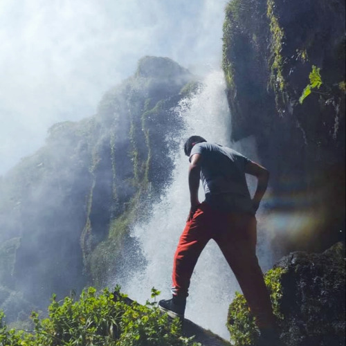 Libre como el viento