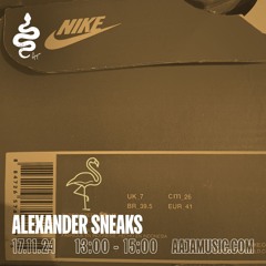 Alexander Sneaks - Aaja channel 1 - 17 11 24