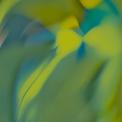 Alicia - 22 January 2025