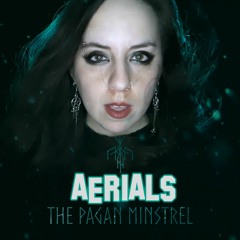 AERIALS (System of a Down cover)