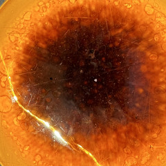 Sleepy Ahh Funny Chords