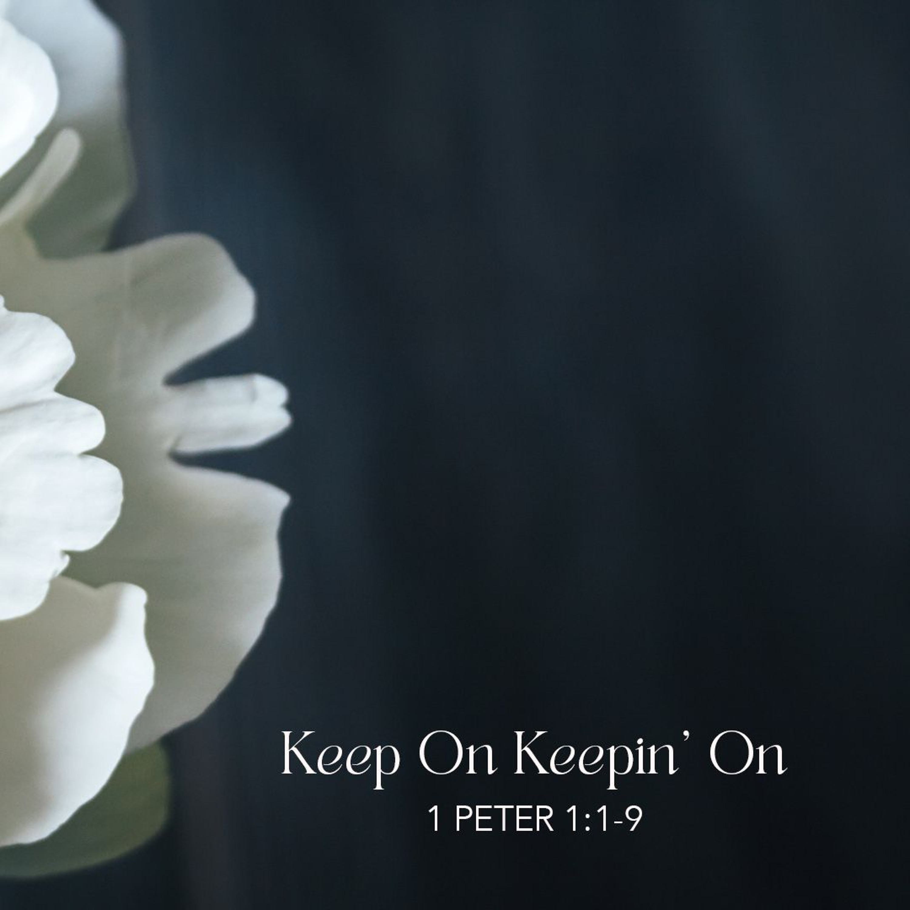Keep On Keepin' On (The Hub) episode artwork