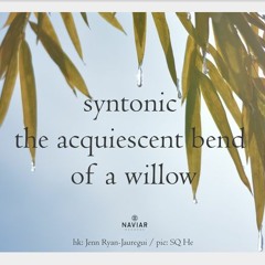 Sýntonos (NaviarHaiku465)