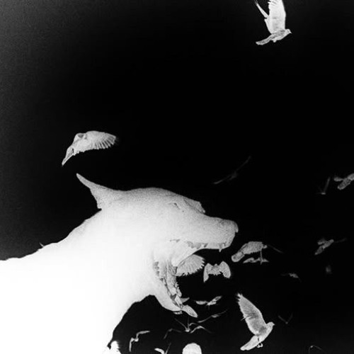 nonchalant_Fm_140bpm