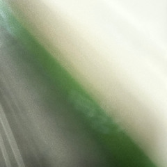 Northern Vectorfield