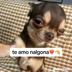 Mueva Chiquita Tribal ( Dj Baljeet )