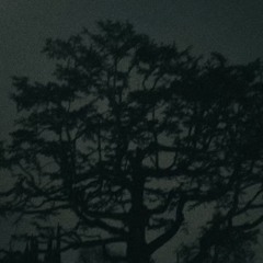 isolation